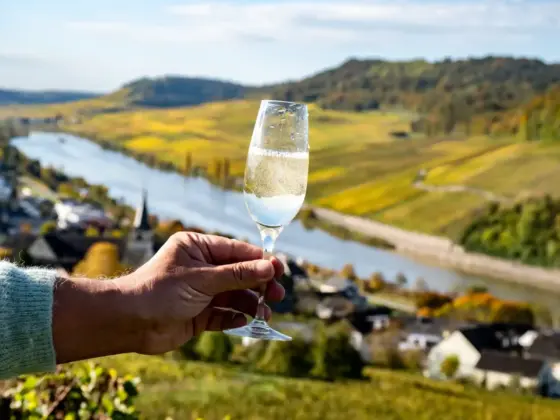 RSE et impact dans la filière boisson