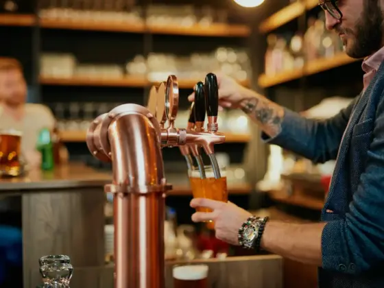 brasseries artisanales 2.0