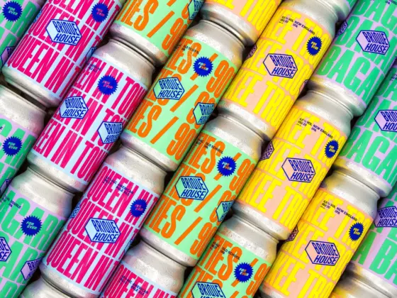 success story brique house